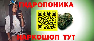 прущие грибы Волгодонск