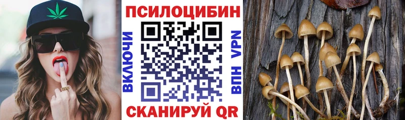 mega рабочий сайт  цена   Калуга  Галлюциногенные грибы Magic Shrooms 