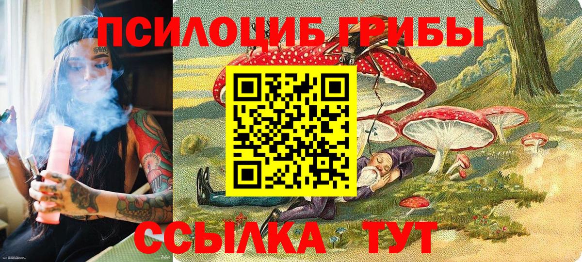 Калуга  Галлюциногенные грибы Psilocybine cubensis  Псилоцибиновые грибы Psilocybe  Вход с VPN 