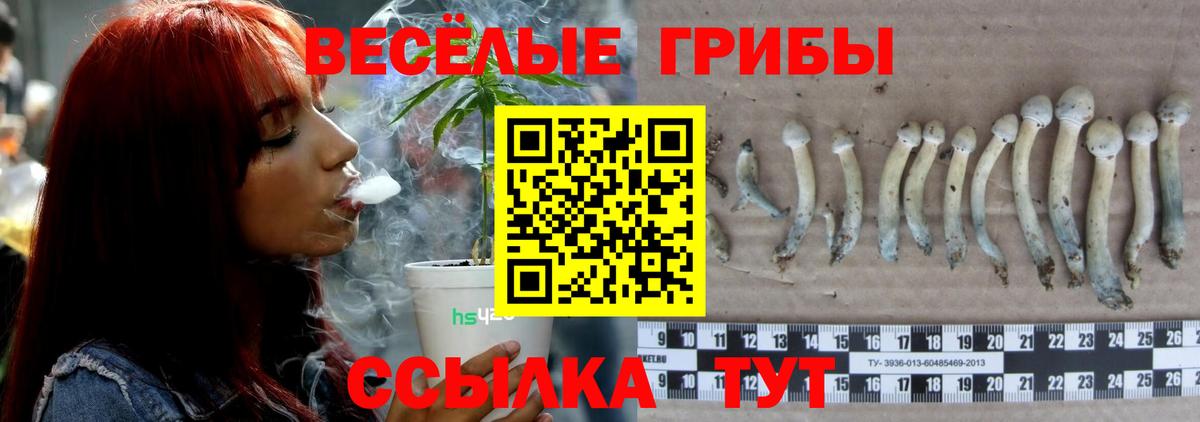 Псилоцибиновые грибы MAGIC MUSHROOMS Калуга